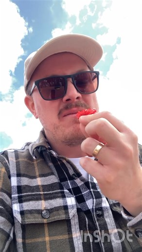 9.1K views · 94 reactions | My attempt at the Great Ashvegas Chilli Eating Comp ️ Won’t be repeating that in a hurry. FYI - Wouldn’t watch if trying to eat breakfast… 濫 | Hokonui Breakfast with Luke Howden | Facebook