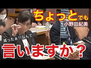 【小野田紀美】逆に市民生活が不便に!!プラ規制本当に削減効果はあったの？何の為の規制なの？レジ袋貰えないなら自分で買いますじゃあ本当の目的見失ってませんか？[plastic regulation]