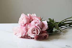 How to Turn Basic Roses from Beautiful to Breathtaking - Between Carpools