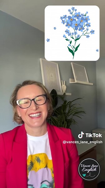 Vances_Lane_English on TikTok