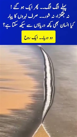 Two Rivers, One Soul: A Beautiful Lesson for Humanity 🌊