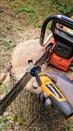 Sharp Pebble Cordless Chainsaw Sharperner #treework