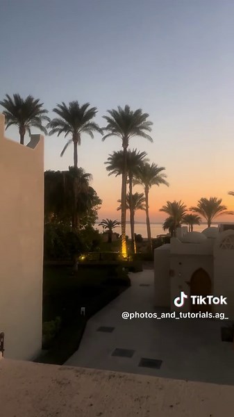 Exploring Snorkeling at Reef Oasis Beach Resort, Egypt