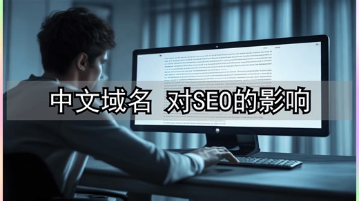 中文域名 对SEO的影响