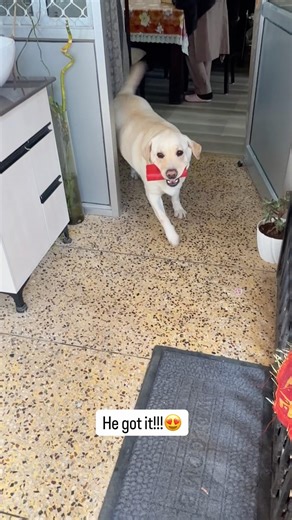 Watching him get normal is making me feel a lot better 🥹