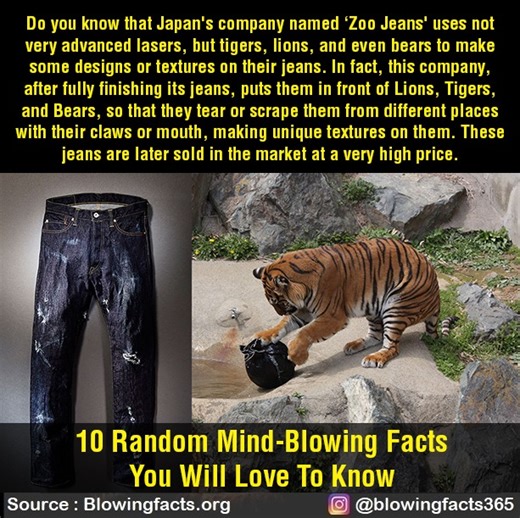 178K views · 966 reactions | 10 Random Mind Blowing Facts | Facts that will blow your mind | Facebook