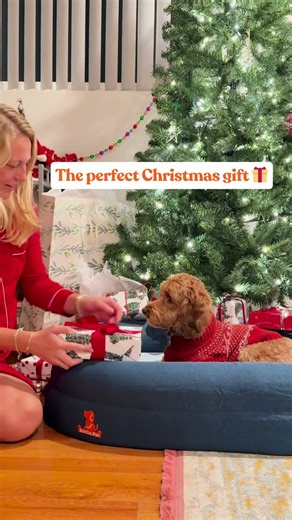 Cockapoo Christmas Surprise — New Orthopedic Dog Bed! - Settle Pet