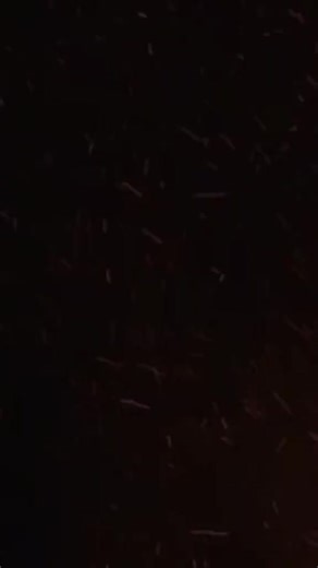 Pauline's Departure from Lunatix: What Happened?