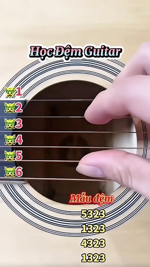 Guitar #guitar #guitartok #guitarcover #guitarsolo #guitarplayer #learnontiktok #tryitwithtiktok #thinhhanh #xuhuong #tiktok #top