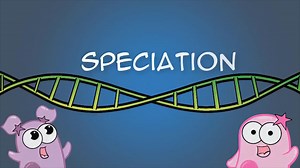 The Amoeba Sisters: Speciation