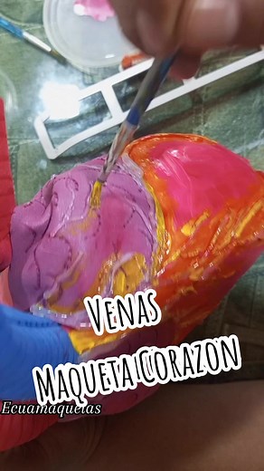 Maqueta del Corazón y Sistema Circulatorio Detallado