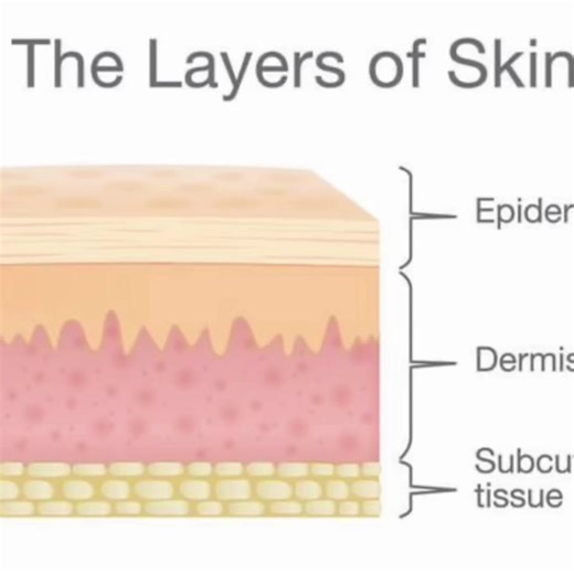 Exploring the Middle School Aesthetic in 2024