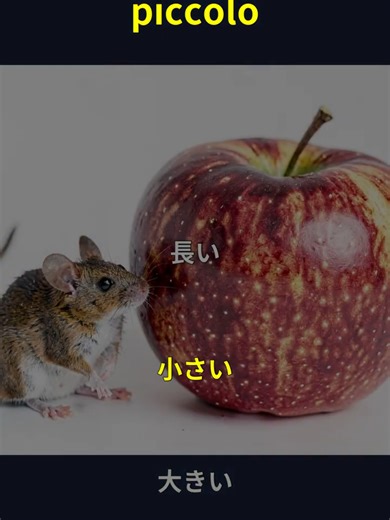 イタリア語A1単語クイズ | 自然なリスニング | 必須単語 #italianos #italian #イタリアン #イタリア語 #日本語 イタリア語初級者向けの単語学習動画です。日本語の単語を聞いて、イタリア語での発音と意味を学びます。毎日の学習に最適な必須単語を厳選しました。 【動画の例】 りんご → mela 水 → acqua 本 → libro 【再生形式】各例文は「学習言語（ゆっくり）→ 日本語 → 学習言語（ゆっくり）→ 学習言語（通常速度）」の順で再生されます。 playlist https://www.youtube.com/playlist?list=PLFZ9_WX403Zdz9F934rMGz2AcILqqSTzF #イタリア語 #Italian #単語クイズ #wqbasica1 #ja2it #リスニング練習 #言語学習 #イタリア語初級 #A1レベル #自然なリスニング #必須単語 #語学学習