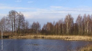 Panoramic view of a fen wetland called Calowanie, the biggest fen terrain in Masovian region of Poland - in early spring season