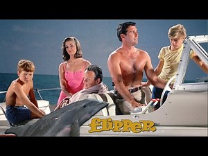 Flipper - (Vor- und Abspann) Folge 1 in HD von der Fernsehjuwelen - Blu-ray
