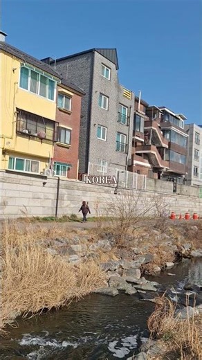 자연의 소리로 여는 하루 🌿 [수영의 풍경속에서]