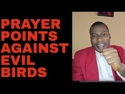 PRAYER POINTS AGAINST EVIL BIRDS | PRAYER POINTS AGAINST MONITORING BIRDS