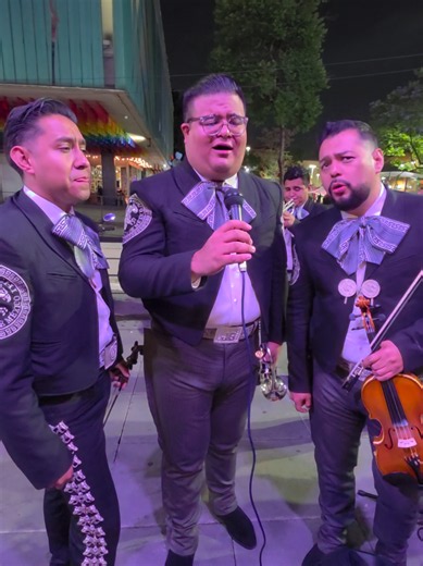 Canciones bonitas con Mariachi de primera — De Garibaldi Mariachi Herencia