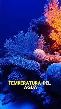 🪸 La Gran Barrera de Coral está desapareciendo 😢 | El mayor ser vivo del planeta