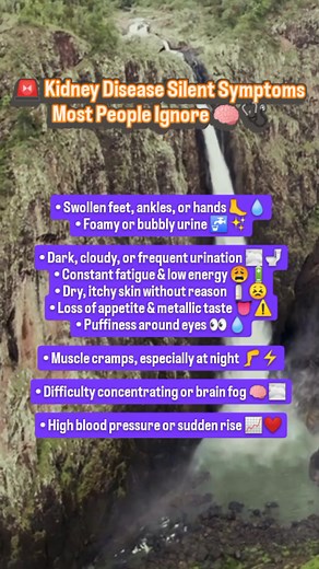 Kidneys whisper before they scream. If these signs stay — get your kidney function checked early. 🏥🩺 #fblifestyletyle #reelsfbシ #healthylifestyle #KidneyHealth #KidneyDiseaseAwareness #SilentSymptoms #HealthAwareness | Payal Gupta