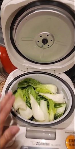 Zojirushi NL AAC10: How to steam veggies
