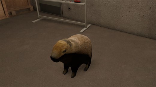 关于SL主界面功能的介绍