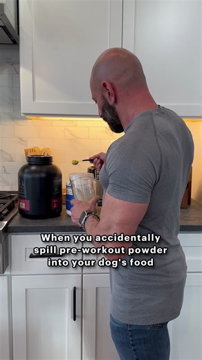 Funny Labrador Story: My Dog Ate My Pre-Workout
