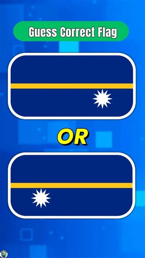 Guess the Correct Flag 🌍 #65
