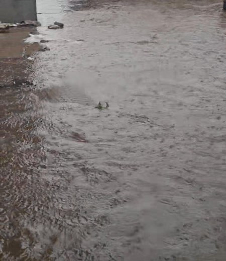 111K views · 377 reactions |  City of Harare should do something about the drainage system. | The Day Star | Facebook