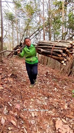 AXE skill survival skills #shorts #axeskills #forestlife #lumberjack #treefelling #woodcutting #usa