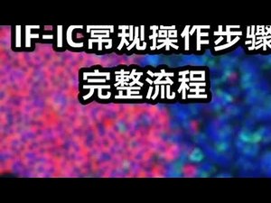 科研小白必看：IF/IC实验手把手教程，完整操作流程梳理！ #免疫荧光 #实验室日常 #科研 #科研狗的日常