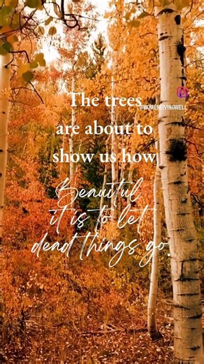 "He hath made every thing beautiful in his time: also he hath set the world in their heart, so that no man can find out the work that God maketh from the beginning to the end." ~ Ecclesiastes 3:11 🌻 Sometimes God asks us to release what we've been clinging to. Dead things like old hurts and unresolved pain, guilt and shame from the past, bitterness and unforgiveness, or the need to control outcomes. 🖤 May we embrace the beauty of letting dead things go. May we have the courage to let go of the