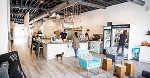 The top 10 dog-friendly cafes in Toronto