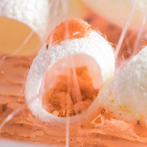 From Silk Cocoon to Lipstick?! Watch the Magic Unfold! 🌸 | 5-Minute MAGIC