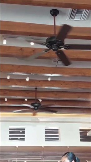 4 Harbor Breeze Classic Style Ceiling Fans In A Restaurant