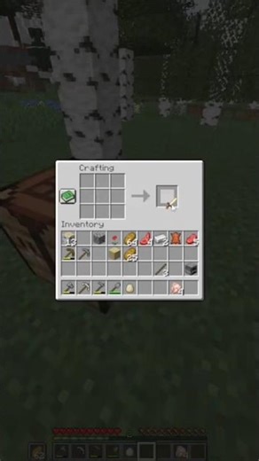 Minecraft but there are custom swords #minecraft #minecraftbut #op music:spectre by Alan walker