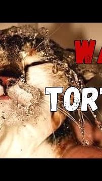 Historys worst execution method - Chinese Water Torture