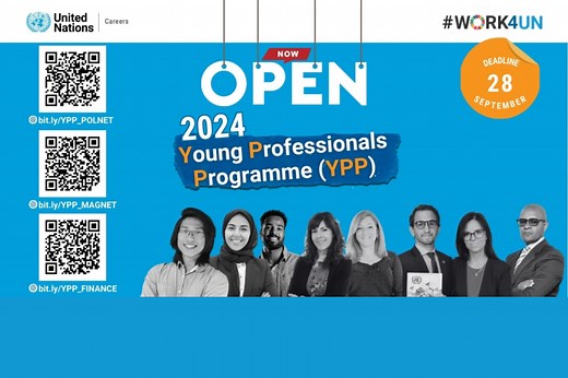 Apply now :Young Professionals Programme