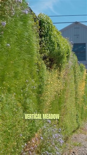 Regenerative Agriculture, Farms & Farmers on Instagram: "A fence today. A meadow tomorrow. Meadowall™ brings nature back into the city. 🌿 Reposted from @habitat_horticulture #regenerativeagriculture #urbangarden #pollinators"