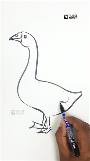 How to Draw a Swan Easily | Simple Step-by-Step Drawing Tutorial#EasyDrawing #SwanDrawing