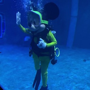 26 reactions | Mickey was scuba diving at the Living Seas for...