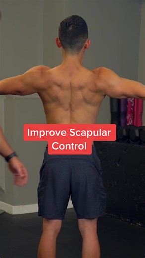 A great and easy way to improve scapular control at home! #shoulderstability #scapularmobility #scapularstability