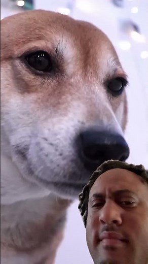 Bing bing bing🤣🤣 #atlanta #duet #travel #funny