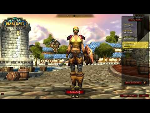 TBC Paladin Leveling Guide... Its Complicated...