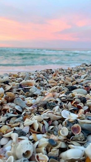 Longboat Key🌴🌴s~ * * * #longboatkey #florida | Follow Me To Longboat Key