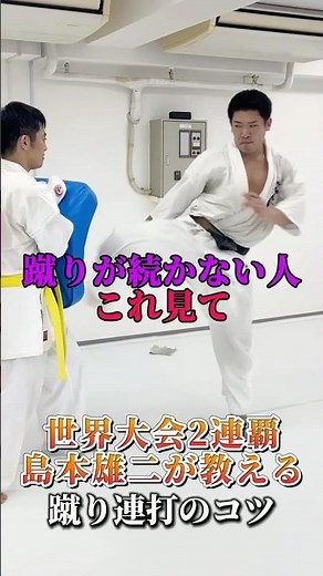 【連打で崩す】蹴り連打のコツ #島本道場 #空手 #karate #ミット打ち #コンビネーション #格闘技