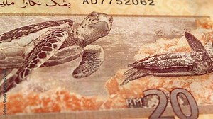 Malaysia Malaysian Ringgit 20 Banknotes, Twenty Malaysian Ringgit, Close-up and macro view of the Malaysian Ringgit, Tracking and Dolly Shots 20 Malaysian Ringgit banknote Observe and Reserve