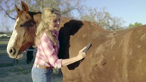 18K views · 42 reactions | ️ The StripHair Gentle Groomer… Voted Best Product of the Year! Blade-free, flexible, and safe to use everywhere on the body. Multi-purpose design will effectively groom, shine, shed, wash, scrape, massage and improve the condition of the coat and skin… Guaranteed! https://bit.ly/2oAJHxr | StripHair | Facebook