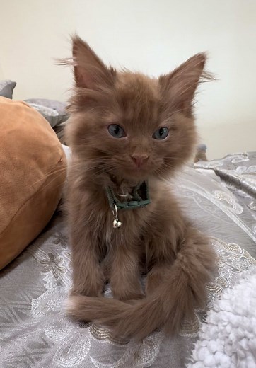 Tell Me Something I Don't Know, Mom!