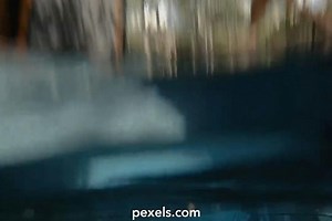 Bikini Open Videos, Download The BEST Free 4k Stock Video Footage & Bikini Open HD Video Clips